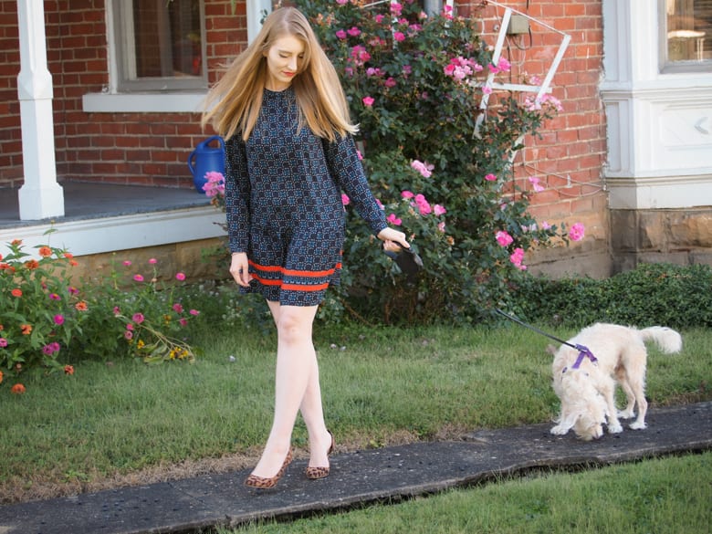 Woman in a short lenght and long-sleeved dress from Ann Taylor loft. She is walking her dog outside in Spring.